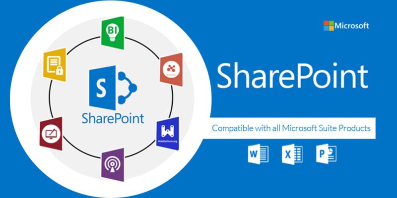 Microsoft sharepoint là gì? Những sản phẩm của Microsoft SharePoint